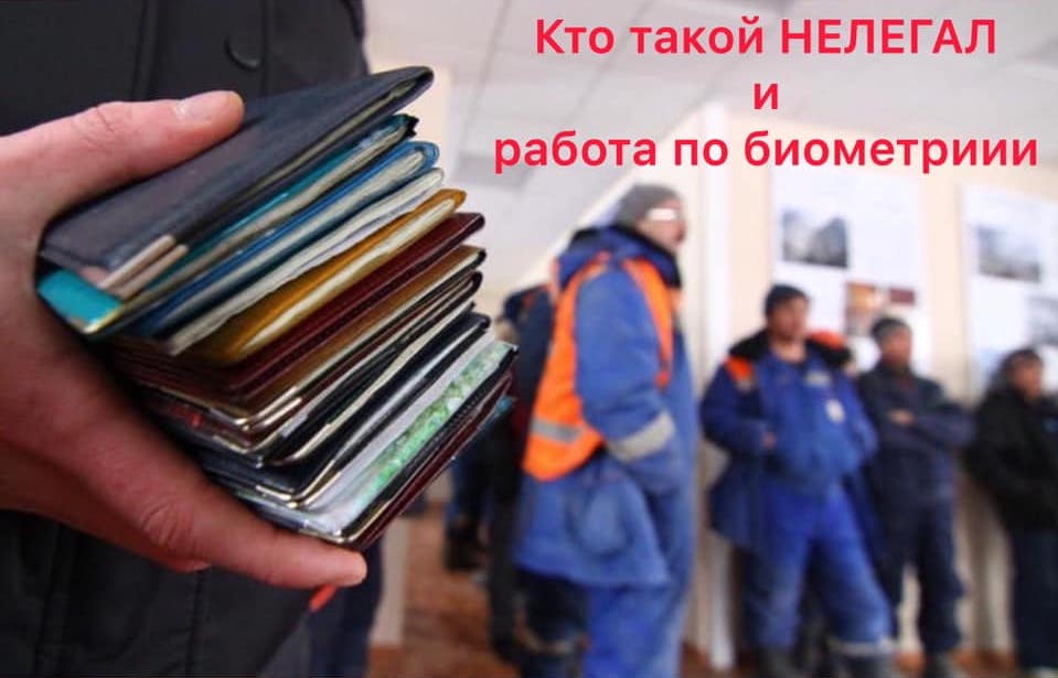 Как отличить легальное трудоустройство от нелегального?
